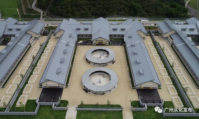 wow马术,香港赛马会从化马场