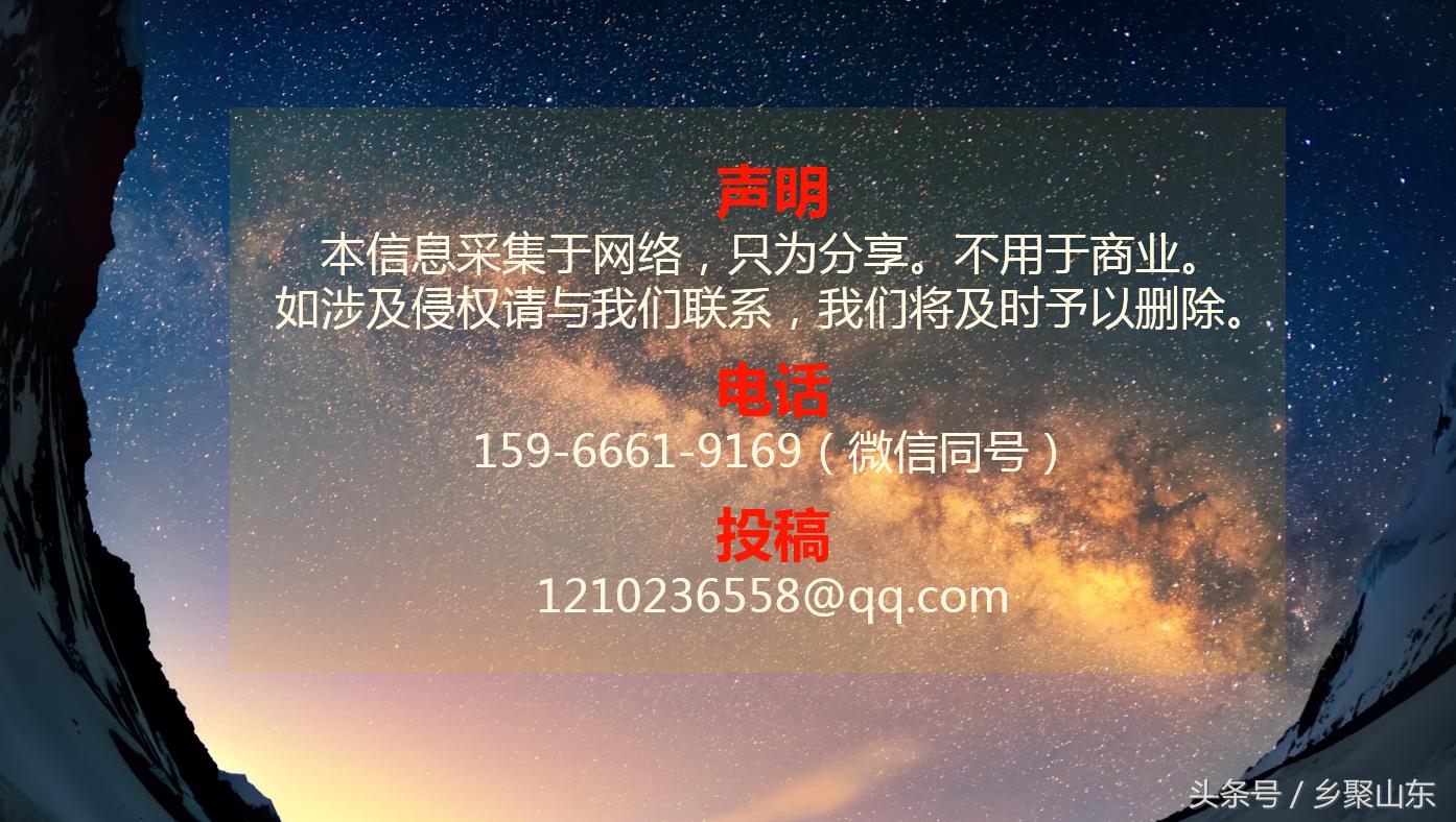 张店一中在哪个位置,淄博市张店一中