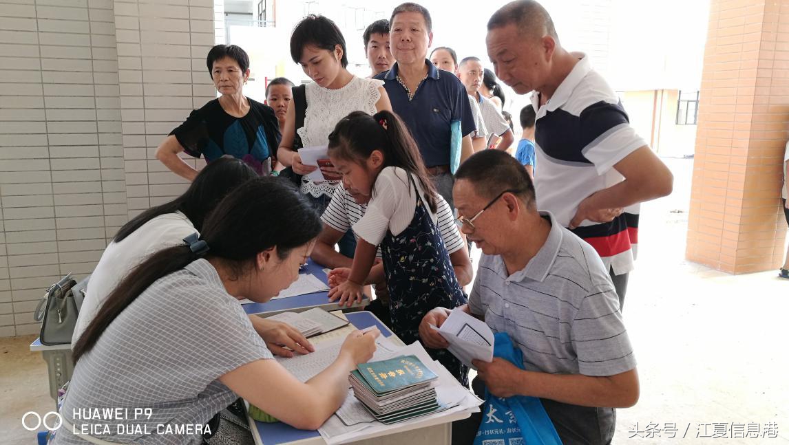江夏区金口小学报名官网,江夏区金口小学
