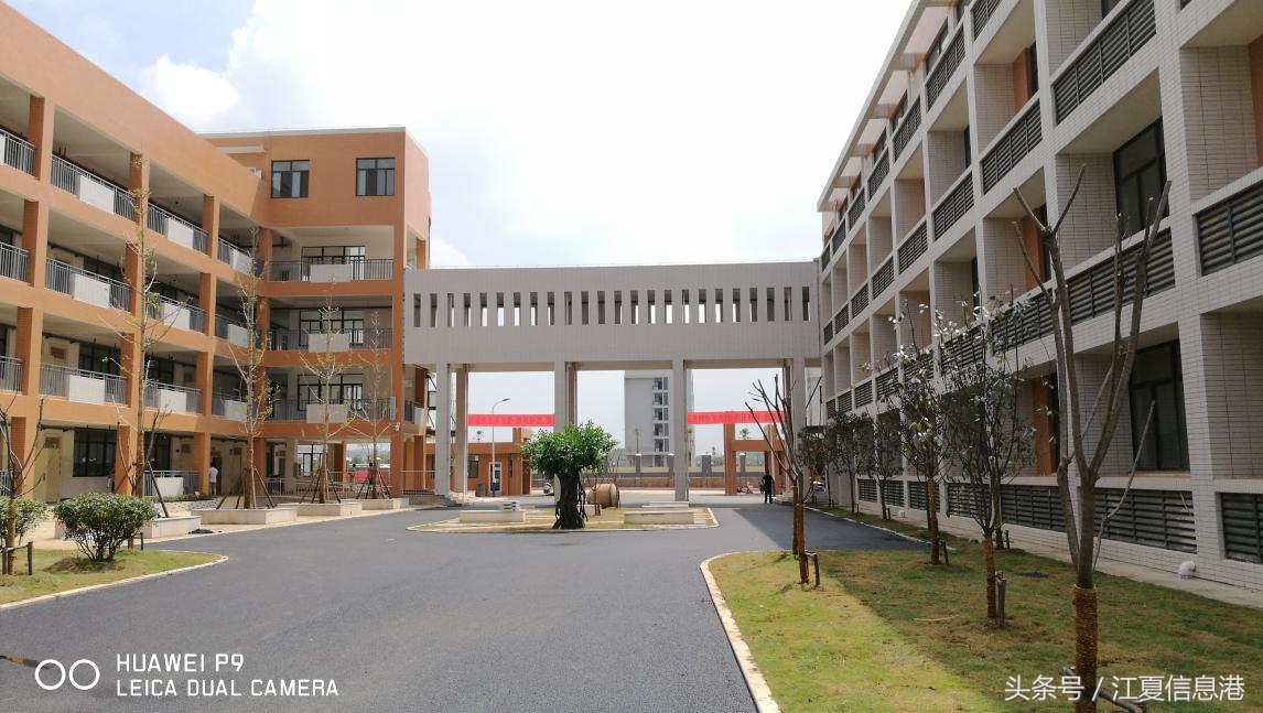 江夏区金口小学报名官网,江夏区金口小学