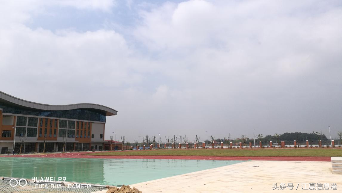 江夏区金口小学报名官网,江夏区金口小学