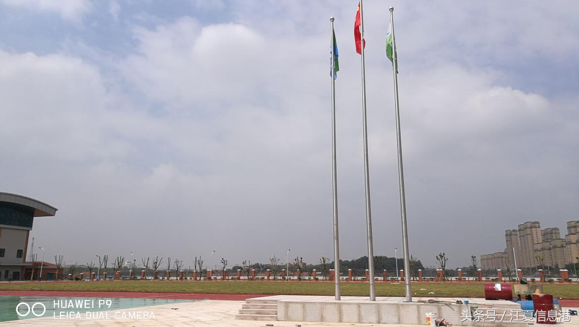 江夏区金口小学报名官网,江夏区金口小学