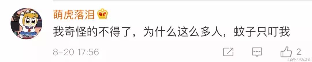 熊孩子脑洞大开文案怎么写,熊孩子令人哭笑不得文案