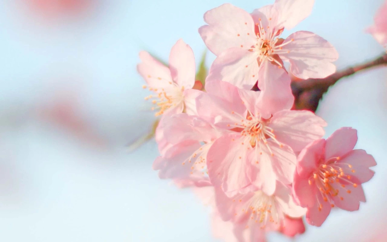 每个人肚子里都有寄生虫，该怎么处理？这篇文章能给你排忧解难