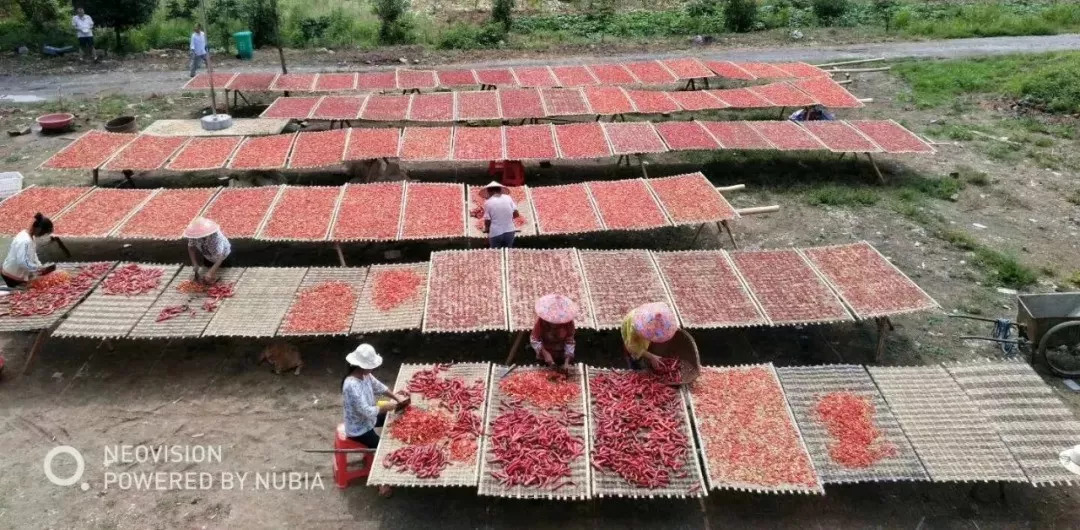 秀美乡村江西,秀美乡村活动视频
