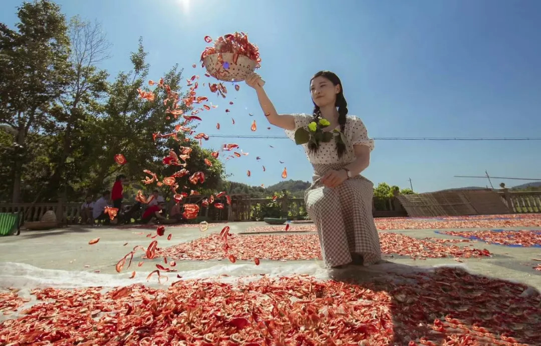 秀美乡村江西,秀美乡村活动视频