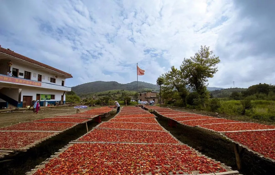 秀美乡村江西,秀美乡村活动视频