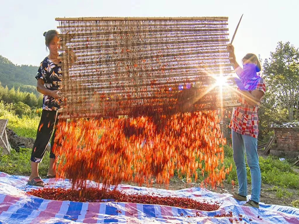 秀美乡村江西,秀美乡村活动视频