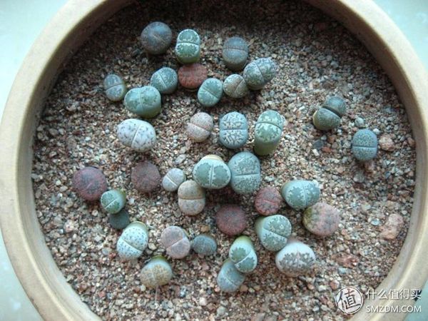 出租房神器推荐,出租房必备神器