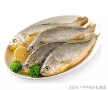 哪种鱼宝宝吃dha高,什么鱼淡水dha含量高适合宝宝吃