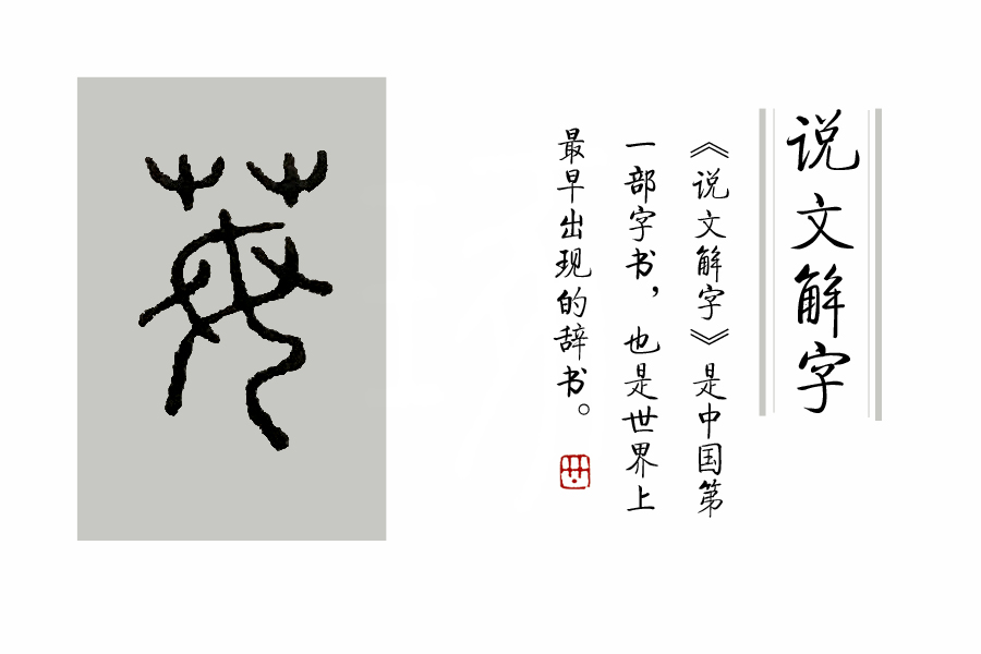 说文解字第25讲,说文解字第602课