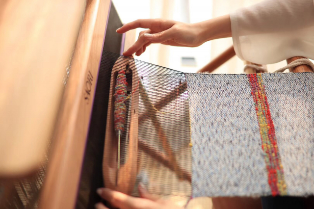 轻便全能佳能eos90d生态拍摄实战,佳能eos50自带的镜头