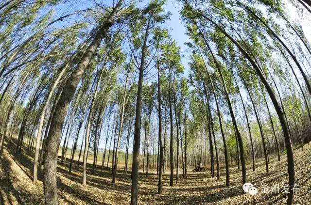 旅发大会开幕后活动安排,旅发大会公园