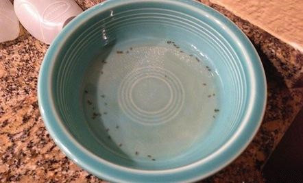 教你二招被蚊子咬一觉睡天亮,被蚊子叮的睡不着怎么办