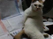 教你二招被蚊子咬一觉睡天亮,被蚊子叮的睡不着怎么办