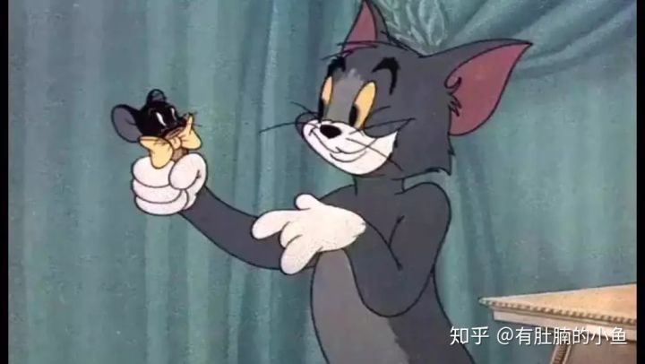 蓝猫的品种科普,俄罗斯蓝猫和其他蓝猫区别