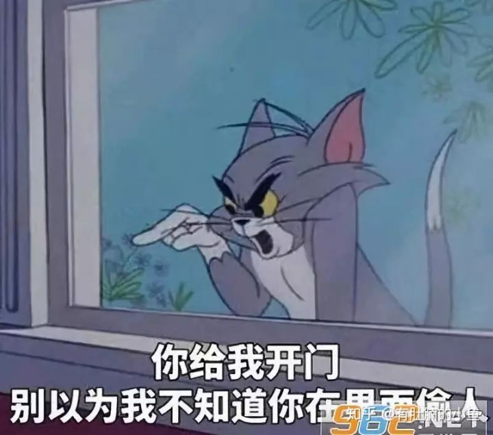蓝猫的品种科普,俄罗斯蓝猫和其他蓝猫区别