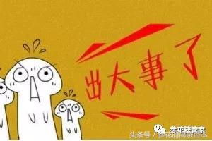 参花消渴茶是真是假,参花消渴茶为什么市面买不到呢