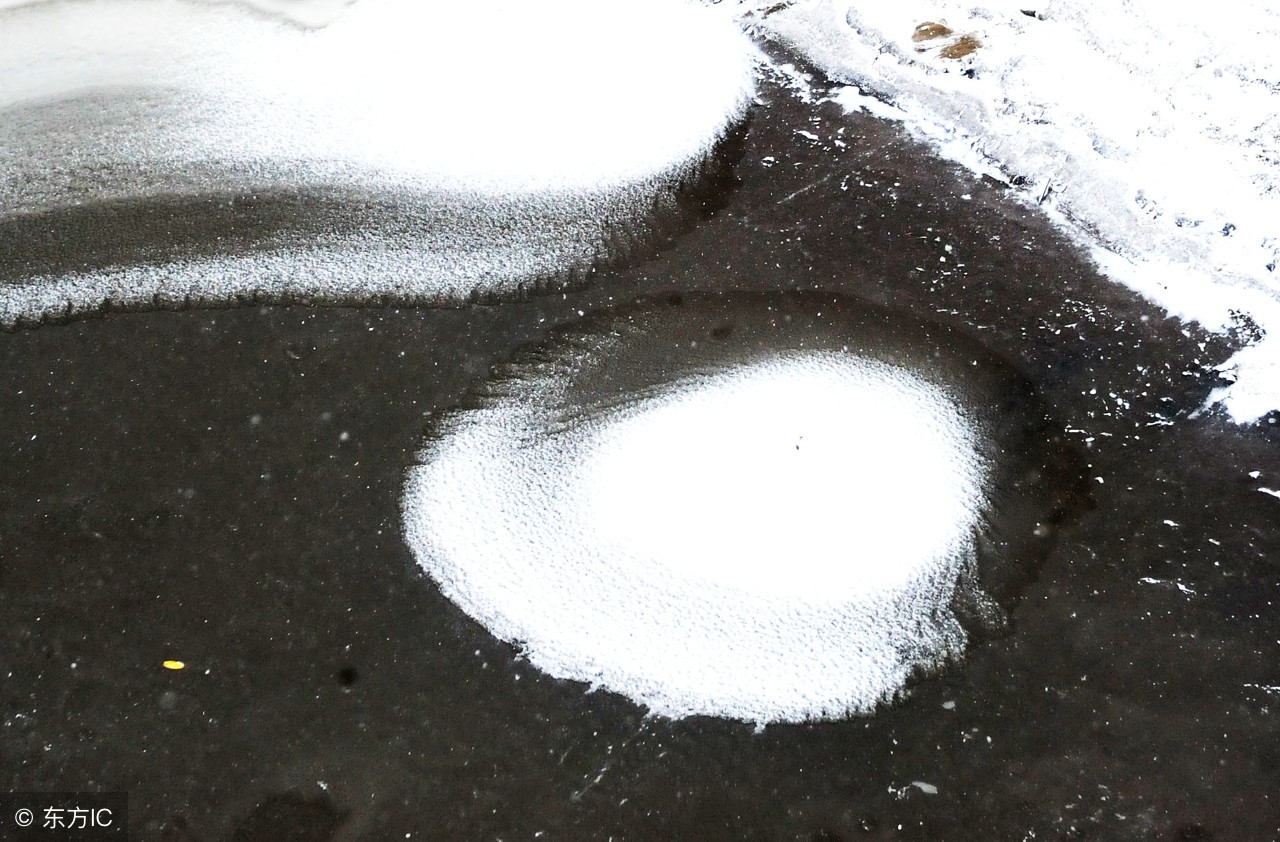 北京理工大学微生物学考研经验