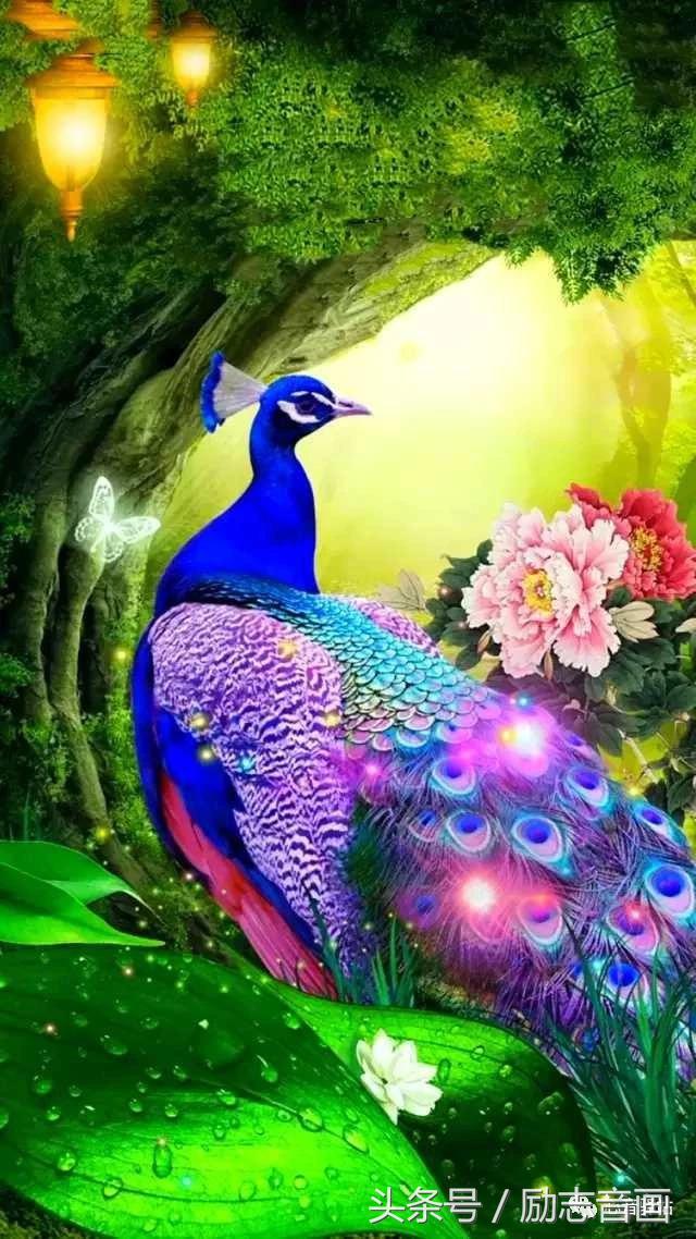 综合知识78集，赶紧保存，早晚用得上！