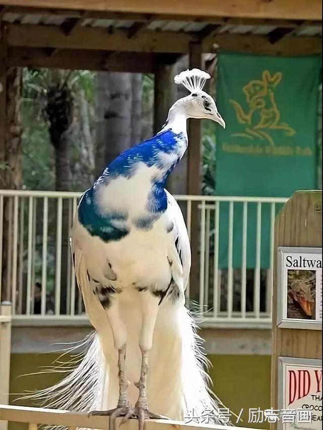 综合知识78集，赶紧保存，早晚用得上！