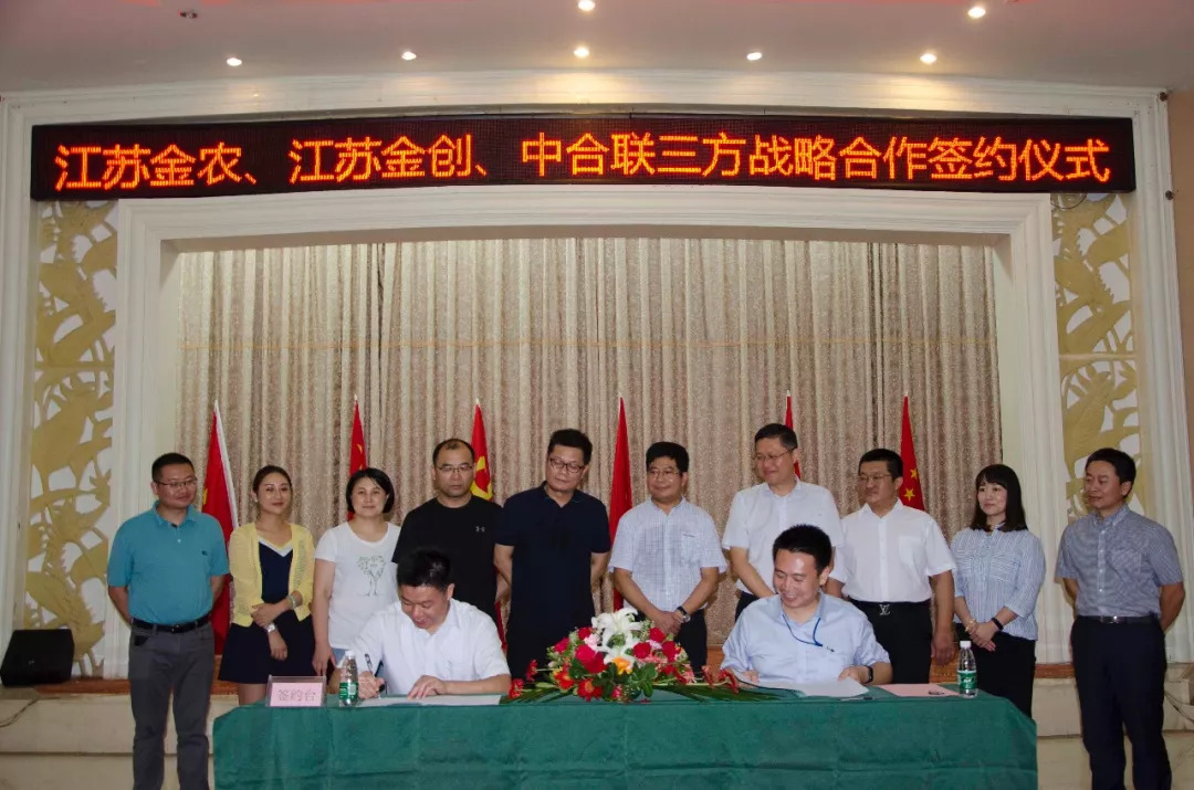 中合联与江苏金农、江苏金创举行战略合作协议签约仪式