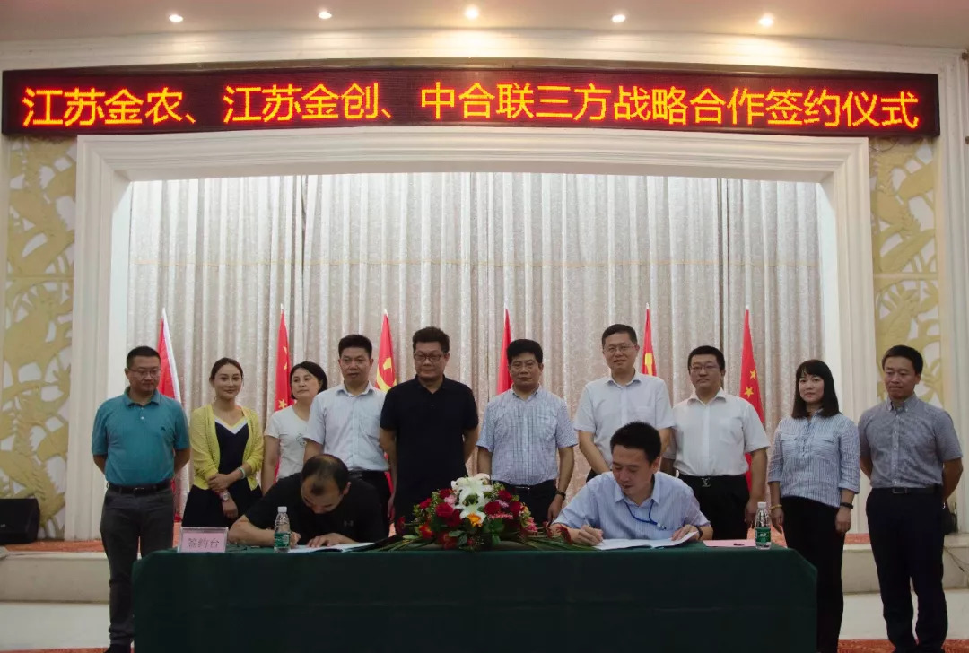 中合联与江苏金农、江苏金创举行战略合作协议签约仪式
