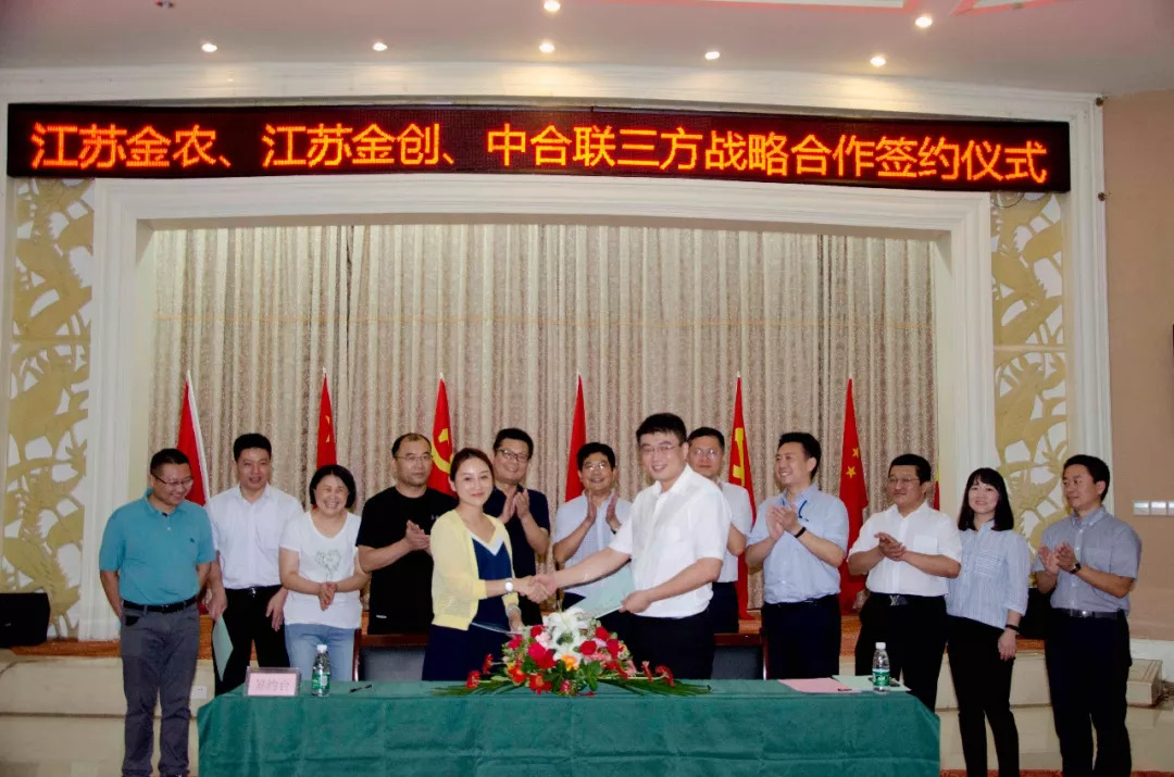 中合联与江苏金农、江苏金创举行战略合作协议签约仪式