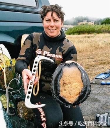 超大的海鲜帝王蟹,世界最大的海鲜帝王蟹有几种