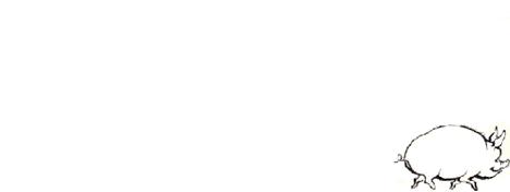 ted演讲为什么不能专注,ted演讲为什么不更新了