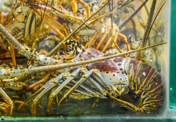 三亚生活每张照片都是回忆和足迹,三亚一代人的回忆