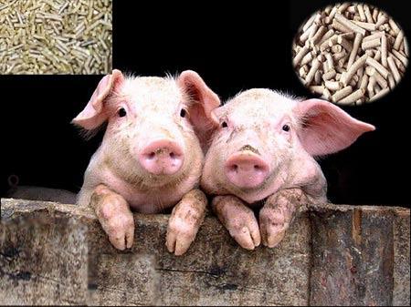 历数十大饲料品牌企业，这几个最受养猪人青睐，你觉得谁更好？