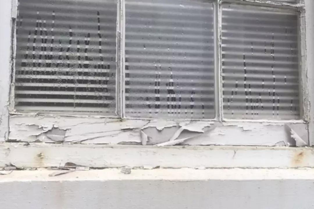 超标1000倍福岛检测到惊人辐射量,铅超标1500倍