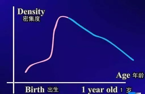 为什么要从小培养孩子学英语？脑科学研究用事实说话！