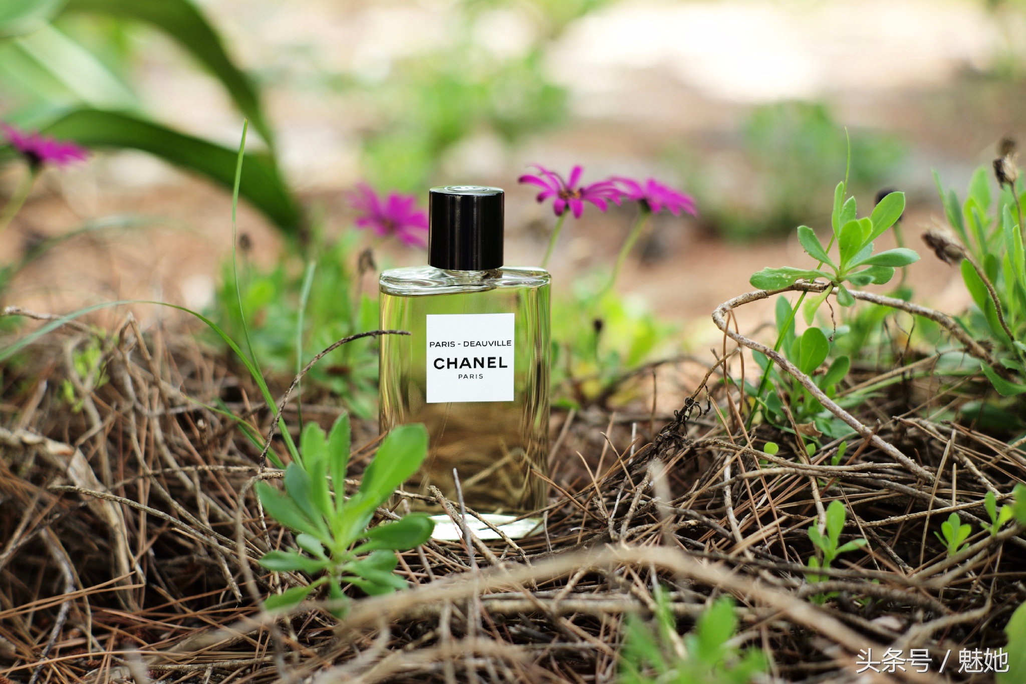chanel香奈儿必买单品,chanel香奈儿香水正品专柜