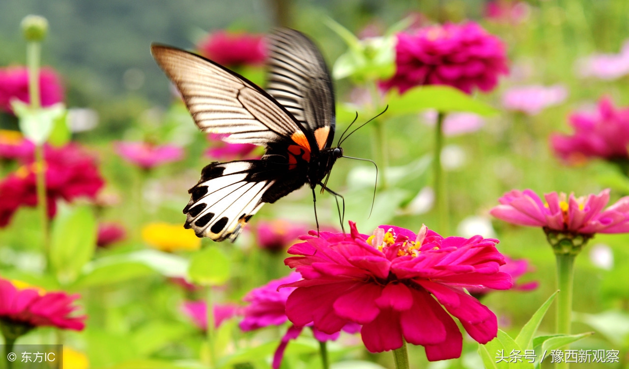 探险雁翎关,漂流神龙峡,寻踪李自成,喜欢乡村旅游的朋友们快来
