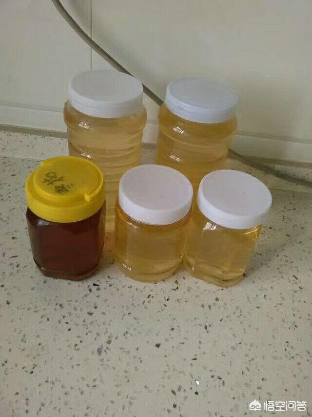 蜂蜜为什么会变成水,蜂蜜为什么会结晶还能吃吗