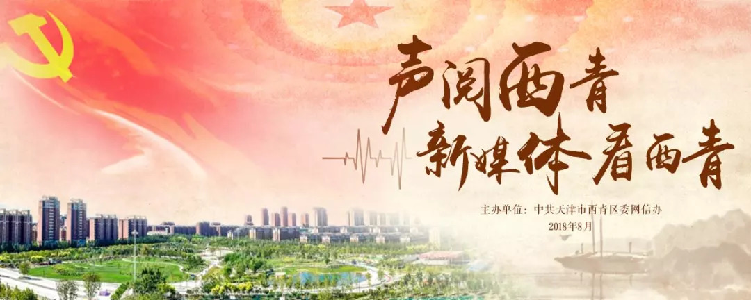 「改革开放进行时新媒体看西青」走进大寺镇太平洋制药有限公司