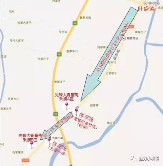 乡村旅游葡萄园,葡萄采摘带动乡村旅游