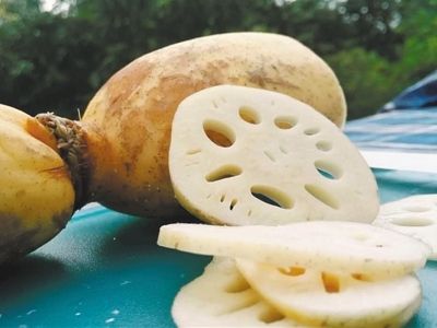 荸荠能清肺热生津润肺,荸荠怎么煲汤润肺止咳化痰