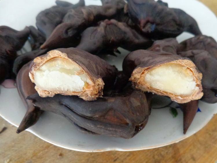 荸荠能清肺热生津润肺,荸荠怎么煲汤润肺止咳化痰