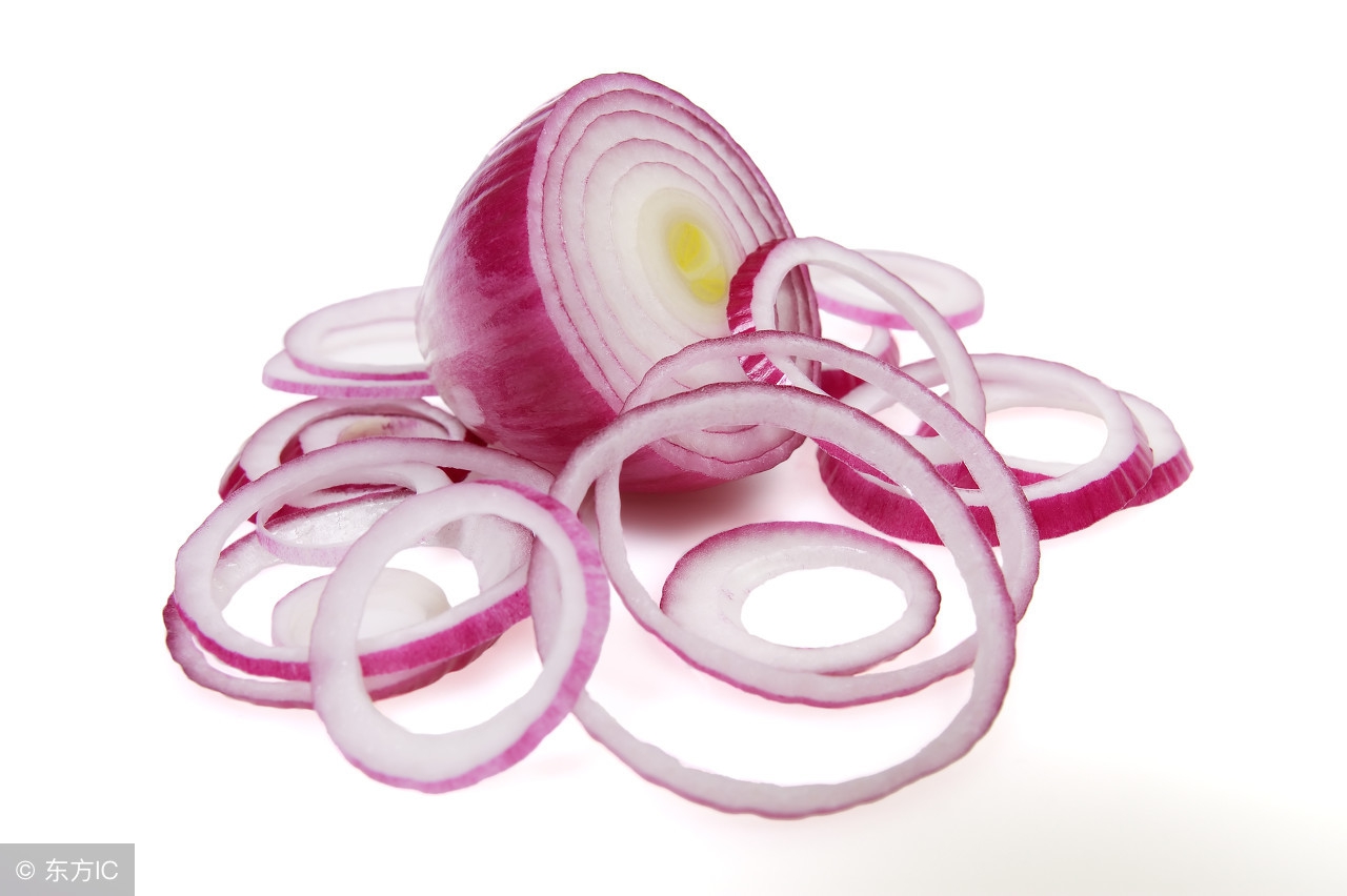 对狗狗致命的食物排名,狗狗误食食物怎么处理