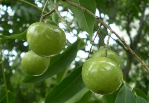 大促活动最低价和秒杀,大促精选好物