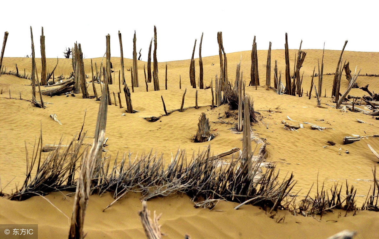 楼兰遗址有多重现,楼兰古城遗址门票以前开售过吗