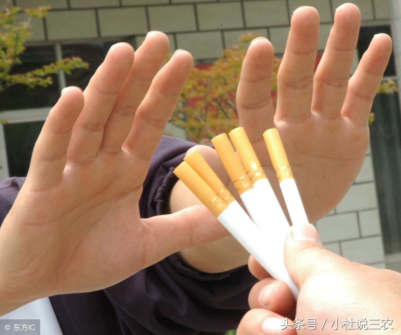 特产有我！国外知名雪茄，原料竟然来自中国，关于它的3点小知识