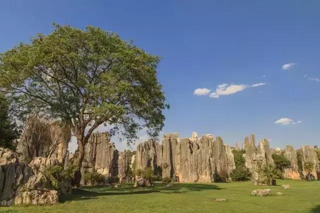 太原6月飞哪里机票最便宜,9元特价机票全国各地免费飞