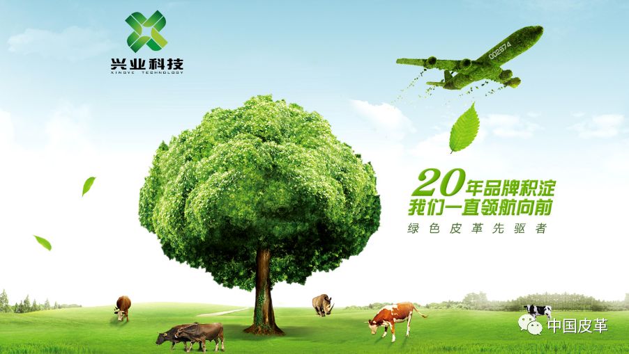 兴业科技的业绩,兴业科技2020年半年业绩