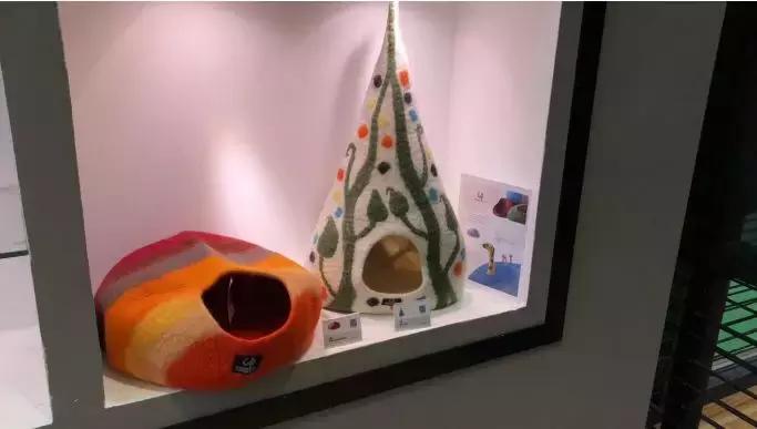 凯尔资拉夫威尔直播,采访凯尔