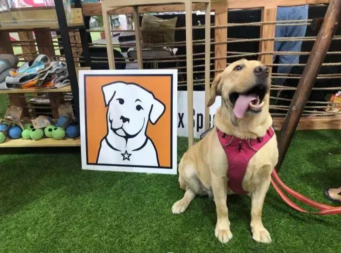 凯尔资拉夫威尔直播,采访凯尔