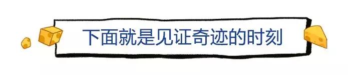 荷兰牛奶变奶粉,荷兰牛乳怎么变成奶粉